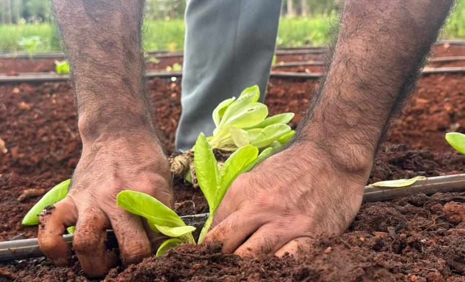 Polícia Penal do Paraná