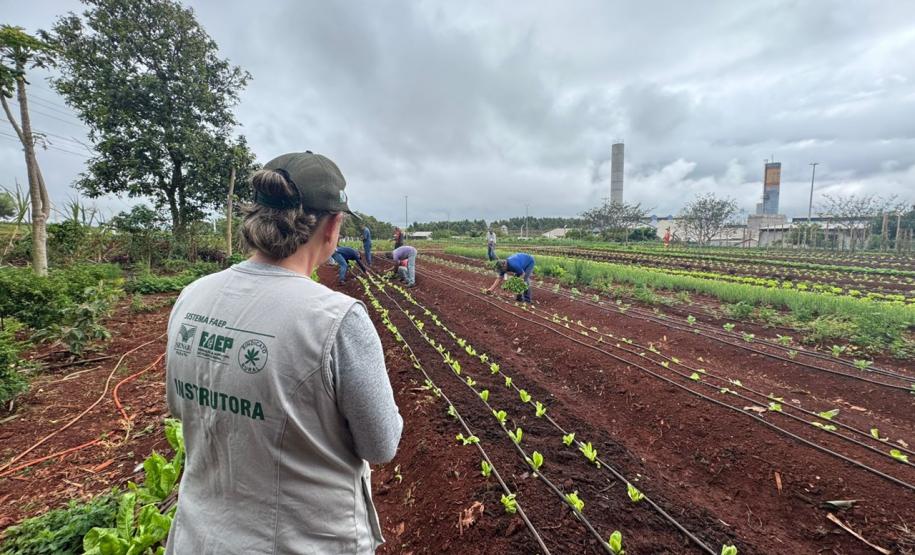 Polícia Penal do Paraná