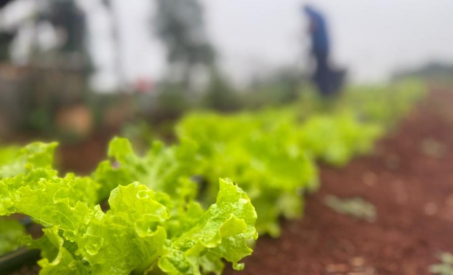 Polícia Penal do Paraná