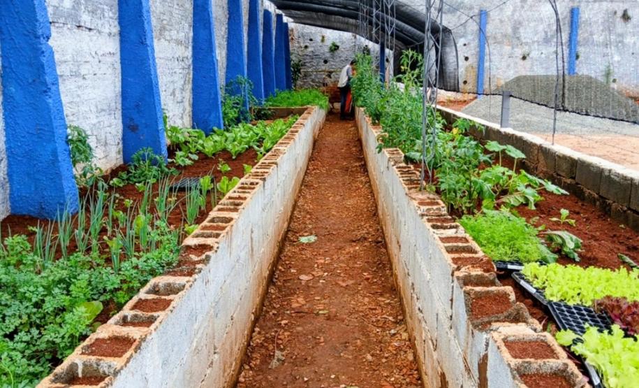 Polícia Penal do Paraná