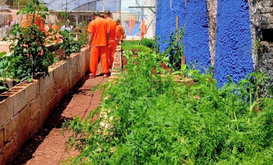 Polícia Penal do Paraná