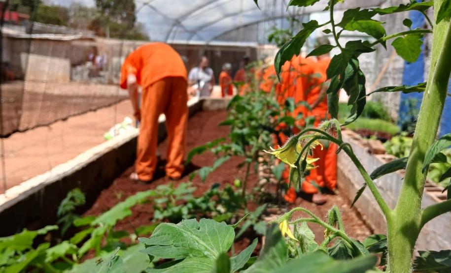 Polícia Penal do Paraná