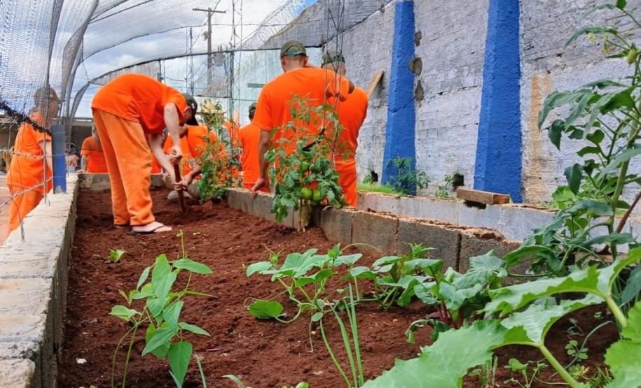 Polícia Penal do Paraná