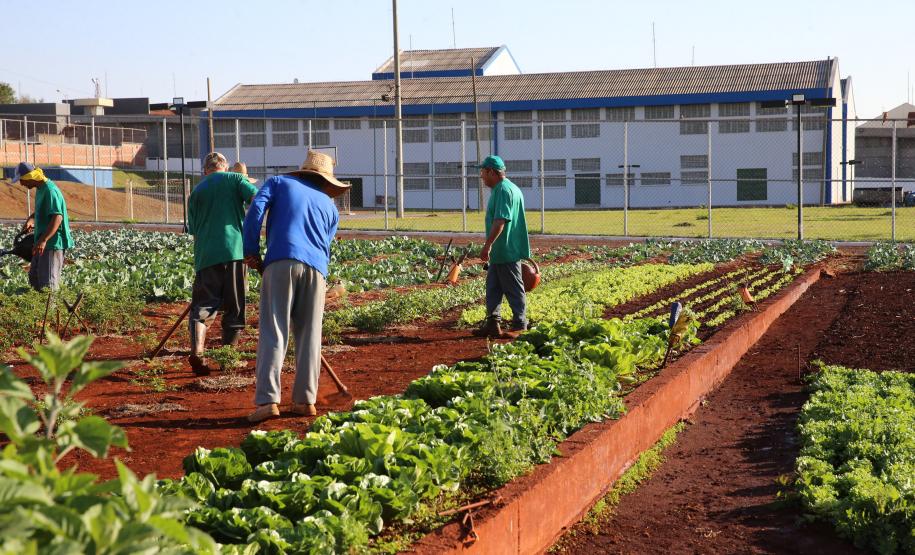 Penit Maringa Casa de Custodia de Maringa - Execucao de servicos de engenharia comuns e reparos - 03/08/2020 - Foto: Geraldo Bubniak/AEN