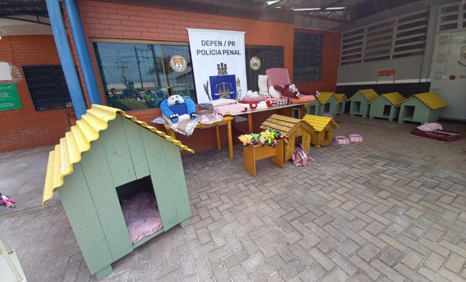 Projeto Pipoca: Detentos produzem materiais para animais de rua, na Cadeia Pública de Toledo (PR) Projeto Pipoca: Detentos produzem materiais para animais de rua, na Cadeia Pública de Toledo (PR)