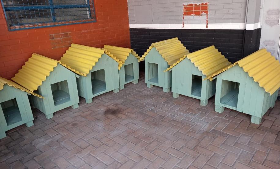 Projeto Pipoca: Detentos produzem materiais para animais de rua, na Cadeia Pública de Toledo (PR) Projeto Pipoca: Detentos produzem materiais para animais de rua, na Cadeia Pública de Toledo (PR)