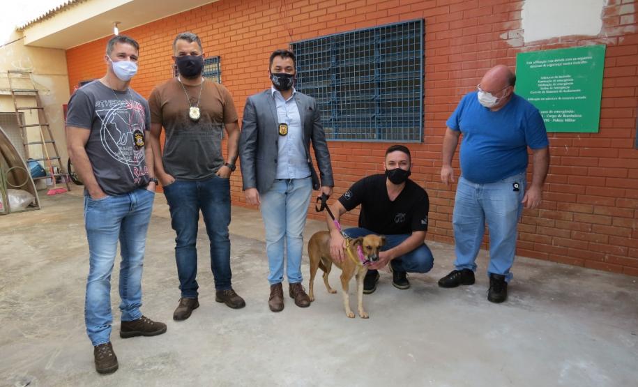 Projeto Pipoca: Detentos produzem materiais para animais de rua, na Cadeia Pública de Toledo (PR) Projeto Pipoca: Detentos produzem materiais para animais de rua, na Cadeia Pública de Toledo (PR)