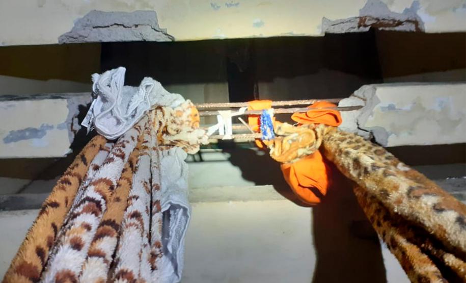 Agentes penitenciários impedem fuga de quatro presos da PECO Agentes penitenciários impedem fuga de quatro presos da PECO