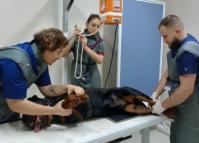 Polícia Penal do Paraná