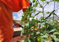 Polícia Penal do Paraná