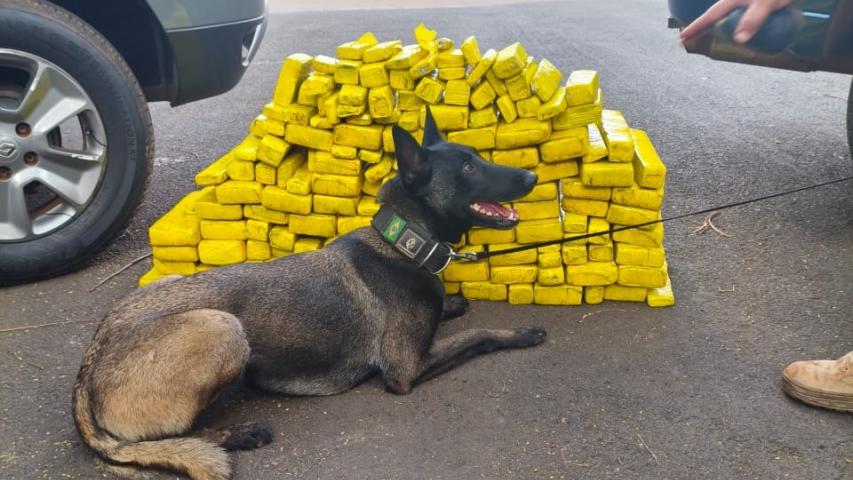 Polícia Penal do Paraná